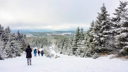 Harz Germany January 12, 2014 Hikers people walk thru snowed in icy fir trees and landscape at...