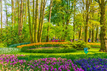 Lisse Netherlands April 20, 2014 Many colorful tulips and daffodils in Keukenhof tulip park in Lisse South Holland Netherlandsのeditorial素材