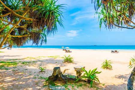 Beautiful sunny landscape panorama from Bentota Beach on Sri Lanka island.の写真素材