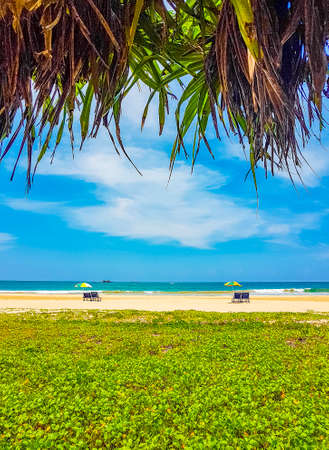 Beautiful sunny landscape panorama from Bentota Beach on Sri Lanka island.の写真素材