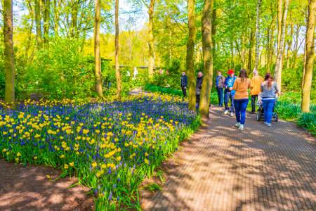Lisse Netherlands April 20, 2014 Many colorful tulips and daffodils in Keukenhof tulip park in Lisse South Holland Netherlandsのeditorial素材