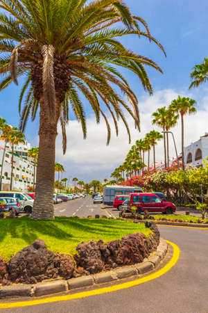 Palms coconut trees resorts on streets and roads in Playa de las Americas of Canary Spanish island Tenerife in Africa.の写真素材