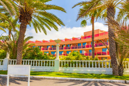 Palms coconut trees resorts and landscape panorama in Playa de las Americas of Canary Spanish island Tenerife in Africa.の写真素材