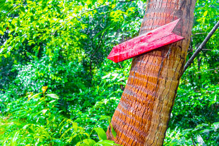 Red wooden direction sign to the jungle tropical rainforest on Koh Samui in Surat Thani Thailand.