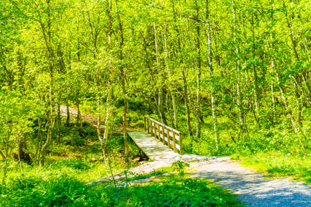 Small wooden bridge and footpath over river of Rjukandefossen waterfall in Hemsedal Norway.