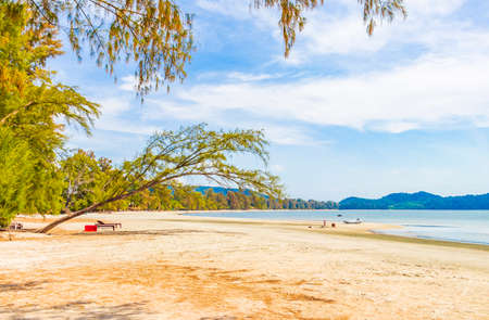 Leaning tree in tropical Paradise island Koh Phayam Aow Yai Beach landscape panorama view in Ranong Thailand.の写真素材