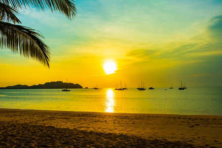 The most beautiful golden sunset behind palm trees at Tropical Paradise island Koh Phayam Ao Khao Kwai Beach in Ranong Thailand.の写真素材