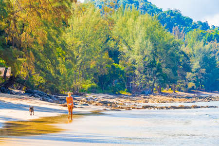 Ko Phayam Thailand January 28, 2020 Tropical Paradise island Koh Phayam Ao Khao Kwai Beach landscape panorama view in Ranong Thailand.のeditorial素材
