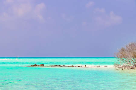 Natural tropical sandbank islands with color gradient in the water Madivaru and Finolhu in Rasdhoo Atoll Maldives.の写真素材