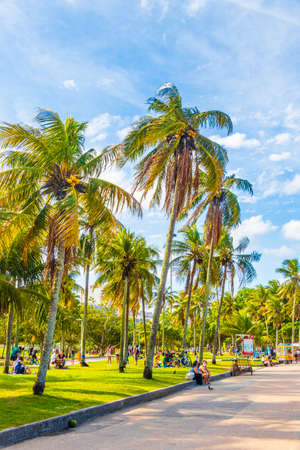 Rio de Janeiro Brazil 18. October 2020 People tourist palm trees AÃ§ai acai shops and stores on Flamengo Beach panorama view and cityscape at Guanabara Bay Flamengo Rio de Janeiro Brazil.のeditorial素材