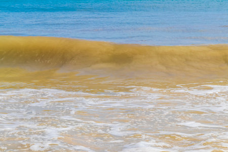Tropical mexican beach with strong waves and clear turquoise blue water in Playa del Carmen Mexico.