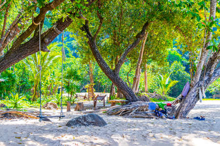 Swing on tree at small beach at the beautiful little small sandy beach landscape panorama view of Lam ru Lamru National Park in Khao Lak Khuekkhak Takua Pa Phang-nga Thailand.の写真素材