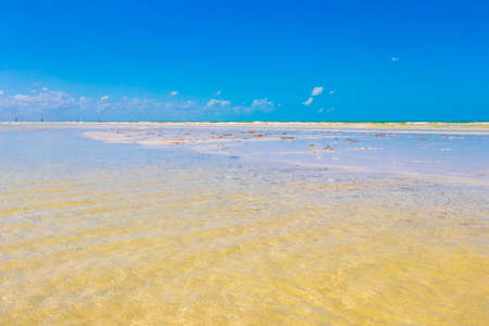 Panorama landscape view on beautiful Holbox island sandbank and beach with waves turquoise water and blue sky in Quintana Roo Mexico.の写真素材