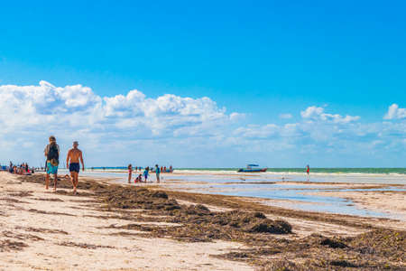 Holbox Mexico 22 December 2021 Panorama landscape view on beautiful Holbox island sandbank and beach with waves turquoise water and blue sky in Quintana Roo Mexico.のeditorial素材