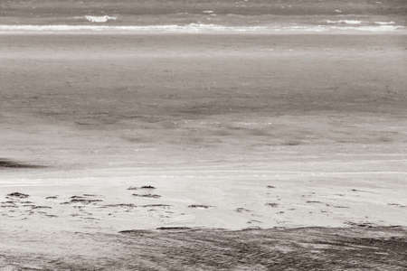 Black and white picture of the natural panorama landscape view on beautiful Holbox island sandbank and beach with waves water in Quintana Roo Mexico.の写真素材