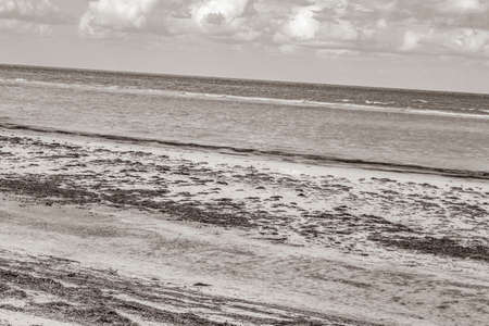 Black and white picture of the natural panorama landscape view on beautiful Holbox island sandbank and beach with waves water and dark cloudy sky in Quintana Roo Mexico.の写真素材