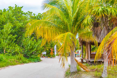 Holbox Mexico December 22, 2021 Sandy muddy road walking path and landscape view with tropical...