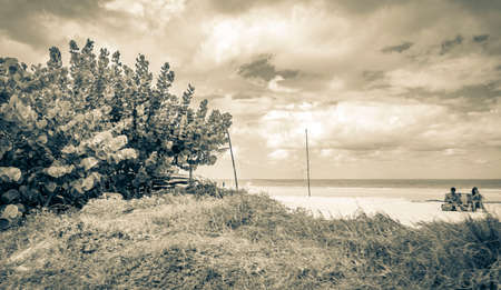 Holbox Mexico December 22, 2021 Black and white picture of the panorama landscape view on beautiful Holbox island sandbank and beach with huts palapa and sun loungers in Quintana Roo Mexico.のeditorial素材