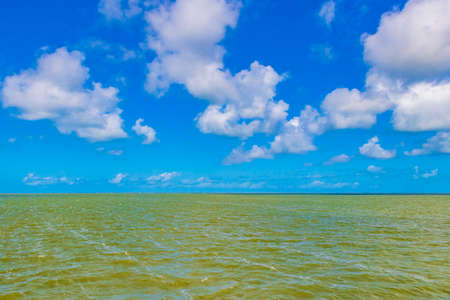Panorama landscape view from the ferry to the beautiful Holbox island with blue cloudy sky and...