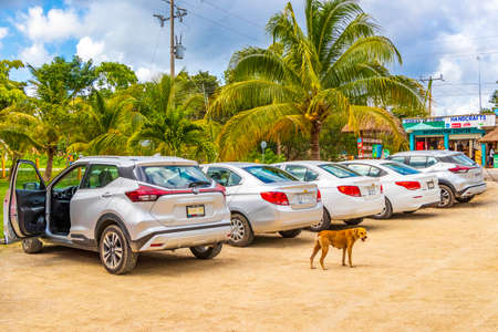 Muyil Mexico February 02, 2022 Parking lot with cars and gravel path road in the jungle and tropical nature and dogs to Muyil Mayan ruins in Chunyaxche Quintana Roo Mexico.のeditorial素材