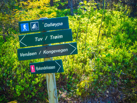Hemsedal Norway 05 June 2016 Green information board road signs for hiking trails to Rjukandefossen waterfall in Hemsedal Viken in Norway.のeditorial素材