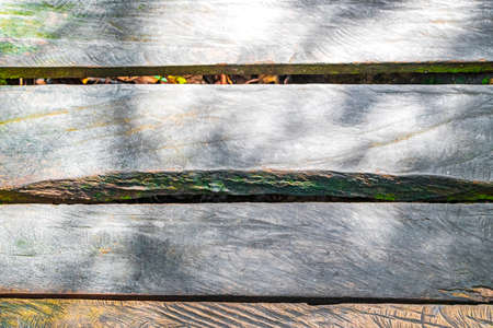 Texture and pattern of wooden walking trails and bridge at the tropical natural jungle forest plants palm trees in Sian Ka'an National Park in Muyil Chunyaxche Quintana Roo Mexico.の写真素材