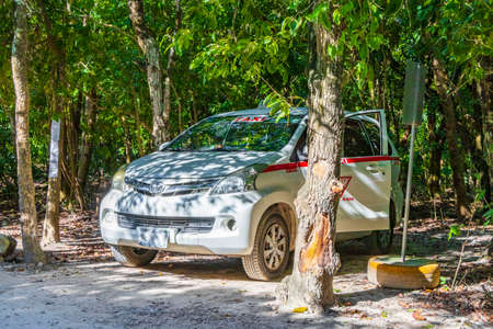 Tulum Mexico February 02, 2022 White van car taxi in tropical mexican jungle plants trees and natural forest panorama view and walking path in Tulum Mexico.のeditorial素材