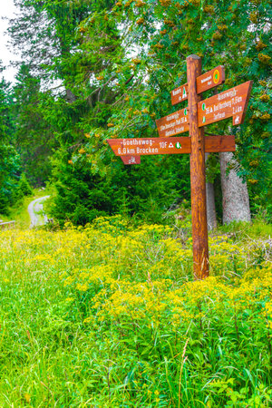 Lower Saxony Germany August 17, 2013 Forest landscape trekking path and information and direction board sign at Brocken mountain peak in Harz mountains Wernigerode Saxony-Anhalt Germanyのeditorial素材
