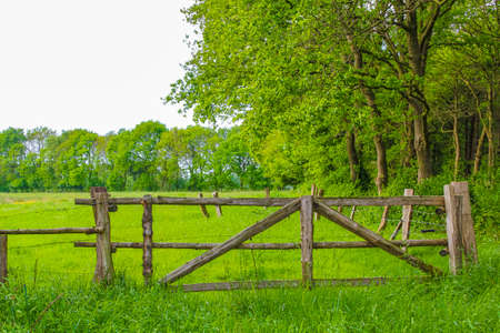 North German agricultural field forest and nature landscape panorama with old broken gate and fence in Pipinsburg Geestland Lower Saxony Germany.の写真素材