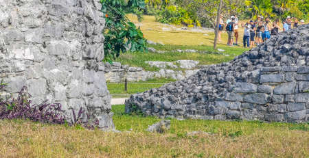 Huge Iguana gecko animal on rocks at the ancient Tulum ruins Mayan site with temple ruins pyramids and artifacts in the tropical natural jungle forest palm and seascape panorama view in Tulum Mexico.のeditorial素材