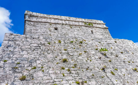 Ancient Tulum ruins Mayan site with temple ruins pyramids and artifacts in the tropical natural jungle forest palm and seascape panorama view in Tulum Mexico.の写真素材