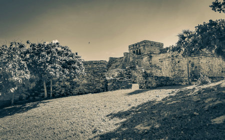 Old black and white picture of Ancient Tulum ruins Mayan site with temple ruins pyramids and artifacts in the tropical natural jungle forest palm trees seascape panorama view in Tulum Mexico.の写真素材