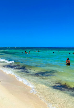 Playa del Carmen May 14, 2022 Tropical mexican beach landscape panorama full of people at beach parties on vacation in Playa del Carmen Mexico.のeditorial素材