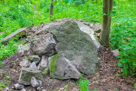 Natural beautiful panorama view with rock stones boulder pathway and green plants trees in the forest on Harrier Sand island in Schwanewede Osterholz Lower Saxony Germany.の写真素材