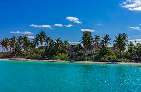 Amazing landscape panorama view with turquoise blue water palm trees blue sky and the natural tropical beach and the forest on the beautiful island of Contoy in Quintana Roo Mexico.の写真素材