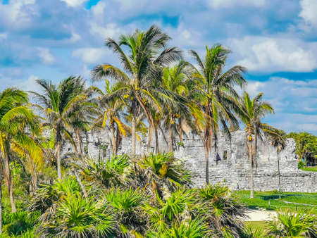 Ancient Tulum ruins Mayan site with temple ruins pyramids and artifacts in the tropical natural...
