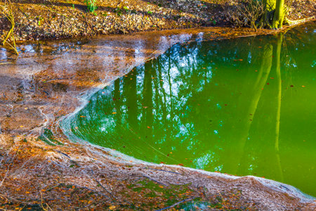 Natural panorama view lake pathway green plants trees forest and parks in SpeckenbÃ¼tteler Park Lehe Bremerhaven Bremen Germany.の写真素材