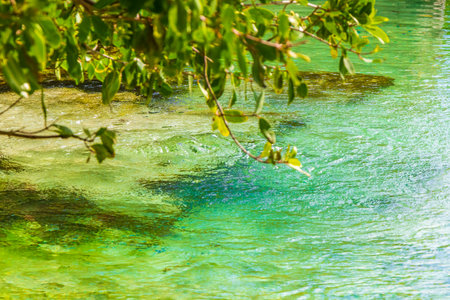Small beautiful Cenote cave with river and turquoise blue water at Punta Esmeralda beach in Playa del Carmen Quintana Roo Mexico.の写真素材