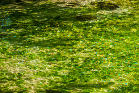 Small beautiful Cenote cave with river and turquoise blue water texture pattern at Punta Esmeralda beach in Playa del Carmen Quintana Roo Mexico.の写真素材