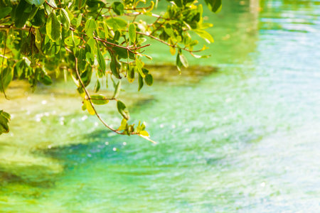Small beautiful Cenote cave with river and turquoise blue water at Punta Esmeralda beach in Playa del Carmen Quintana Roo Mexico.の写真素材