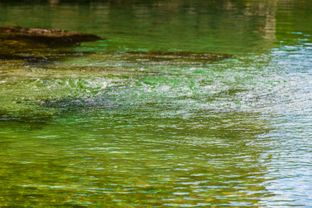 Small beautiful Cenote cave with river and turquoise blue water texture pattern at Punta Esmeralda beach in Playa del Carmen Quintana Roo Mexico.の写真素材