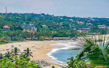 Beautiful natural panorama view with surfer waves palm trees and blue sky on the beach in Zicatela...