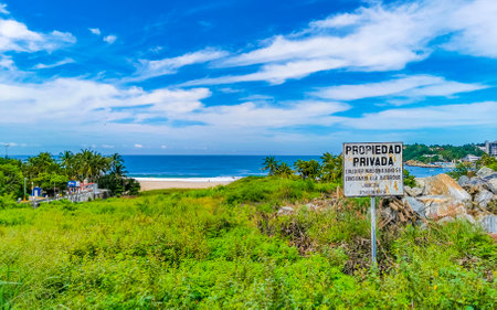 Beautiful natural panorama view with surfer waves palm trees and blue sky on the beach in Zicatela Puerto Escondido Oaxaca Mexico.の写真素材
