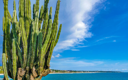 Beautiful scenic view panorama of the city Puerto Escondido and Zicatela Oaxaca Mexico.の写真素材