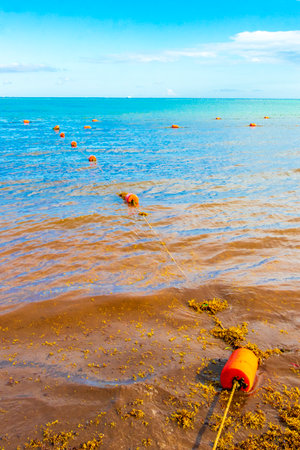 Beautiful blue and turquoise water waves ocean and yellow red orange buoy and ropes in the water of...