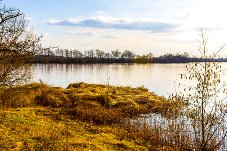 Lake river and water on sunny day in natural landscape in Loxstedt Cuxhaven Lower Saxony Germany.の写真素材