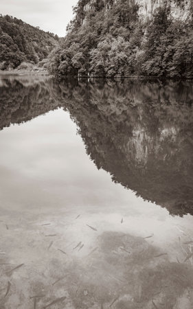 Plitvice Lakes National Park Croatia with fishes under turquoise water landscape Europe's Best Destinations.の写真素材