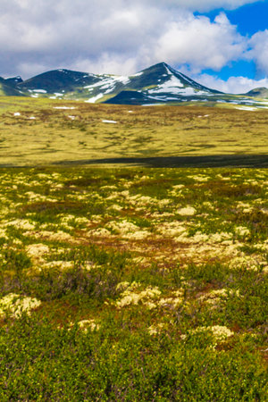 Beautiful mountain and landscape panorama with untouched nature hills and rocks stones in Rondane National Park Ringbu Innlandet Norway in Scandinavia.の写真素材