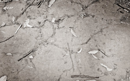 Texture of ferruginous red Ferralsol or laterite soil in Table Mountain National Park in Cape Town, South Africa.の写真素材