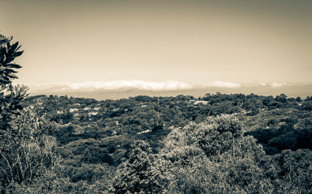 Panoramic view of Cape Town and nature in Kirstenbosch National Botanical Garden, South Africa.